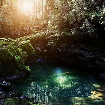 Gasthof Bromm Riezlern