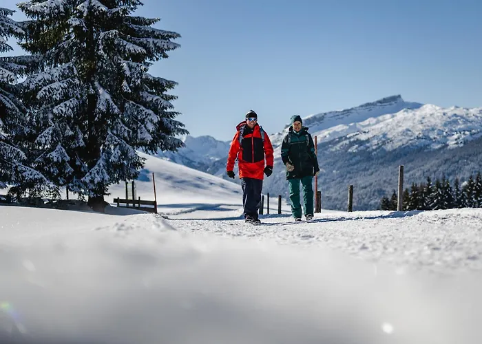 Guest house Bromm 4*