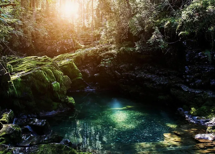 Guest house Bromm Riezlern